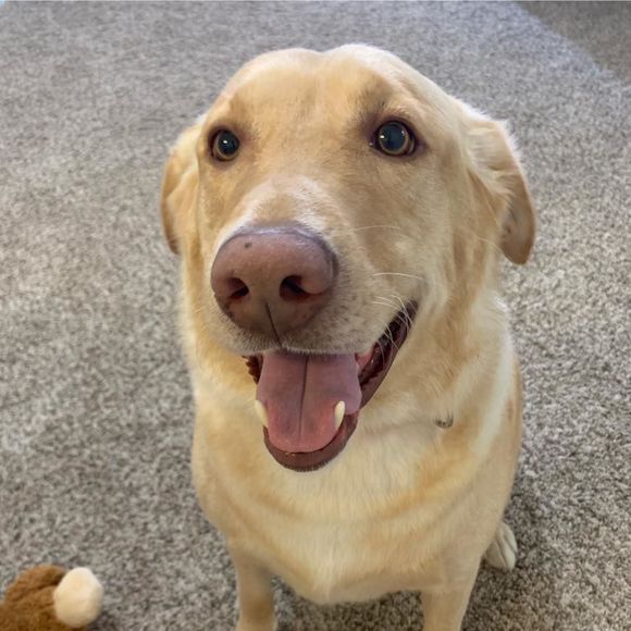 Meet your Posher, Jonathan - Picture 1 of 1